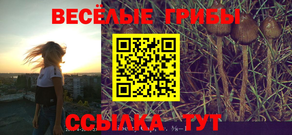 Галлюциногенные грибы Psilocybe Кинешма