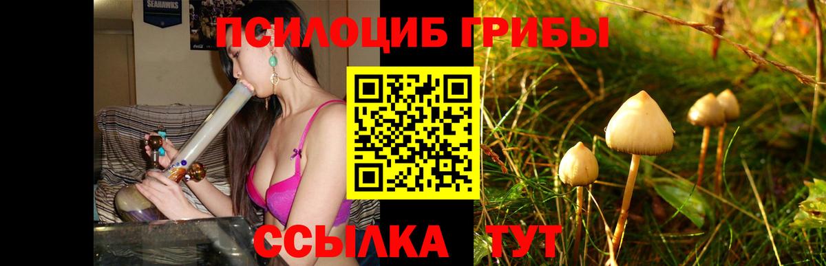 Галлюциногенные грибы Psilocybine cubensis  Псилоцибиновые грибы Cubensis  Кинешма  Вход с VPN 